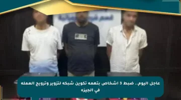 عاجل اليوم.. ضبط 3 أشخاص بتهمة تكوين شبكة لتزوير وترويج العملة في الجيزة